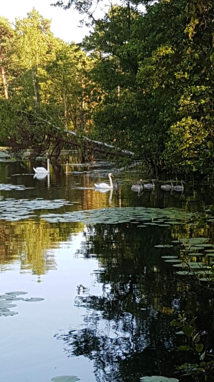 Domki Skandynawskie Kopalino Dış mekan fotoğraf